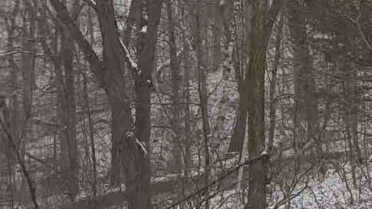 Photo of Others in Eastman