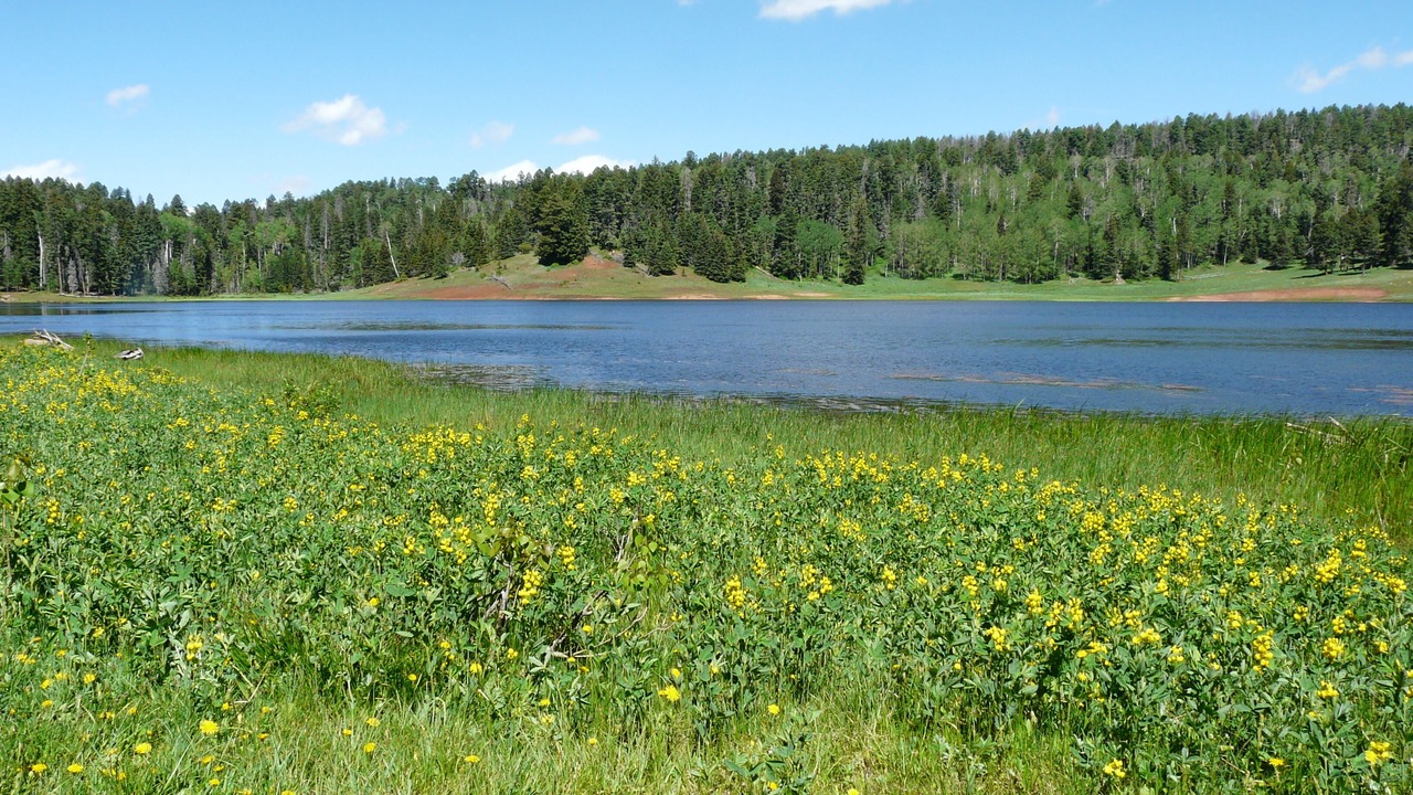 Photo of Others in Jemez Springs