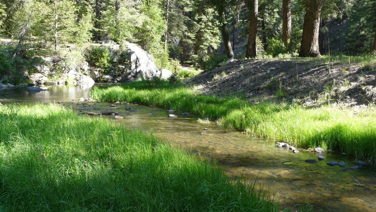 Photo of Others in Jemez Springs