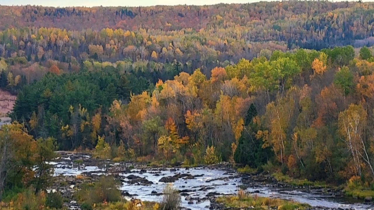 Photo of Others in Esko