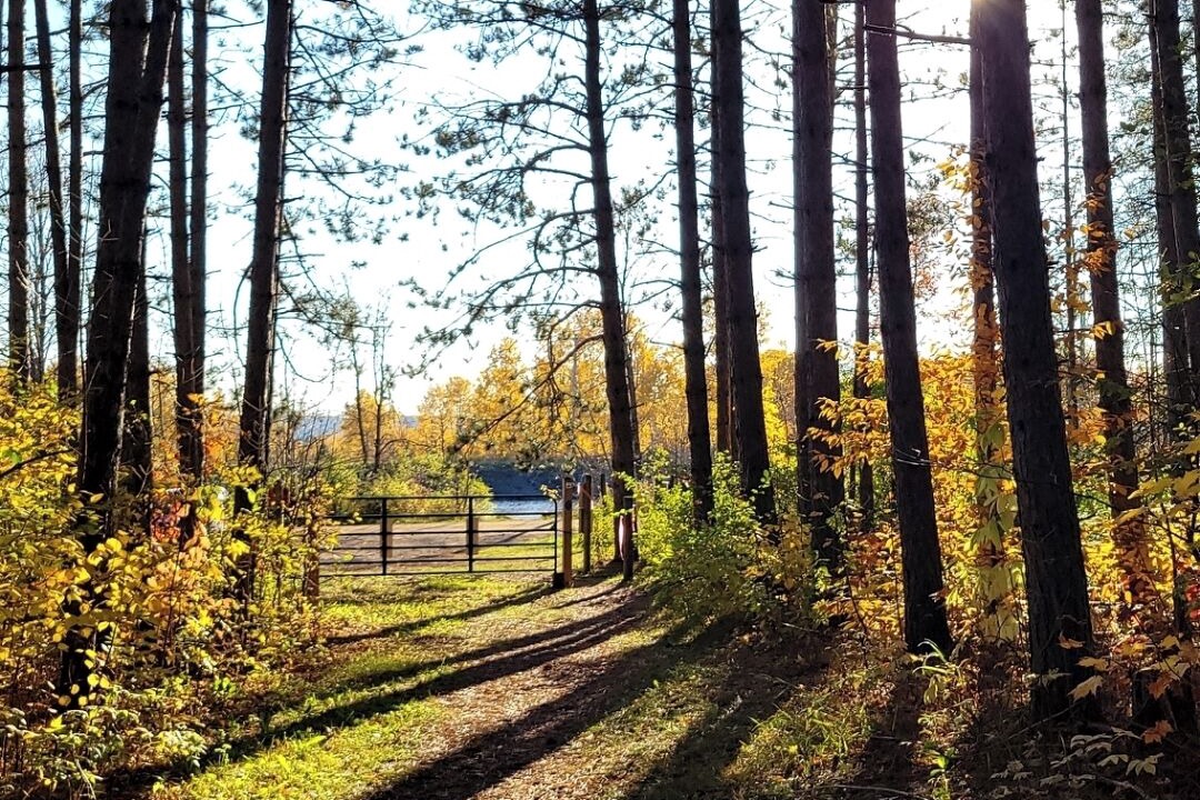 Photo of Outdoor in Esko