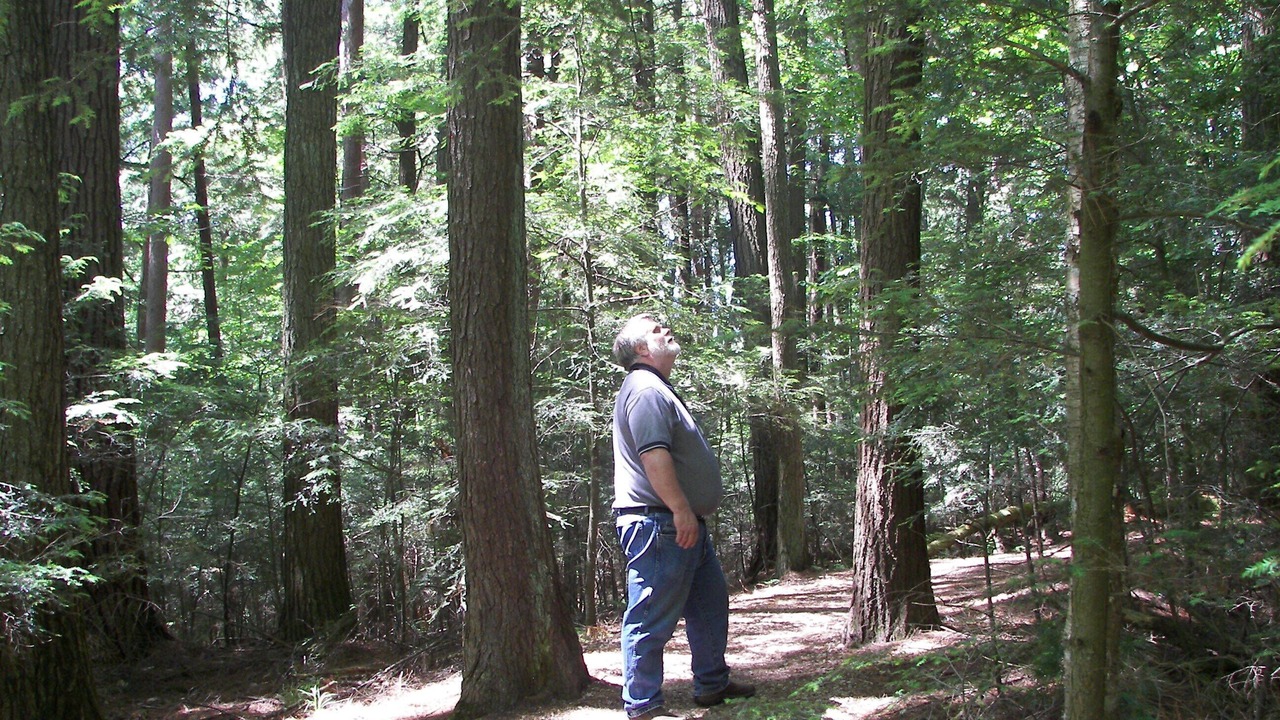 Photo of Others in Mountain