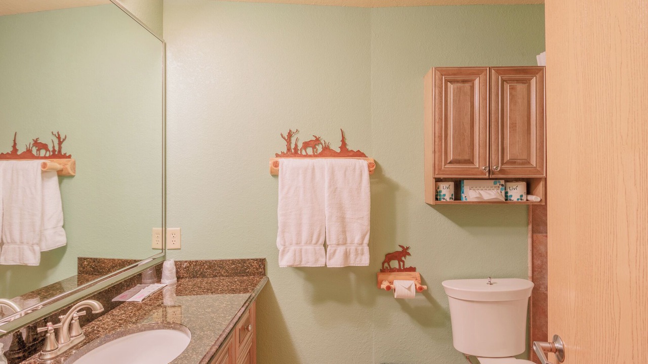 Photo of Bathroom in Biwabik