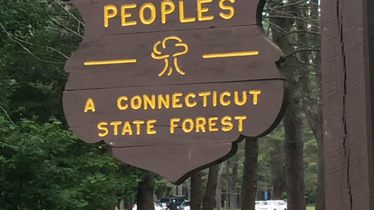 Photo of Outdoor in Pine Meadow