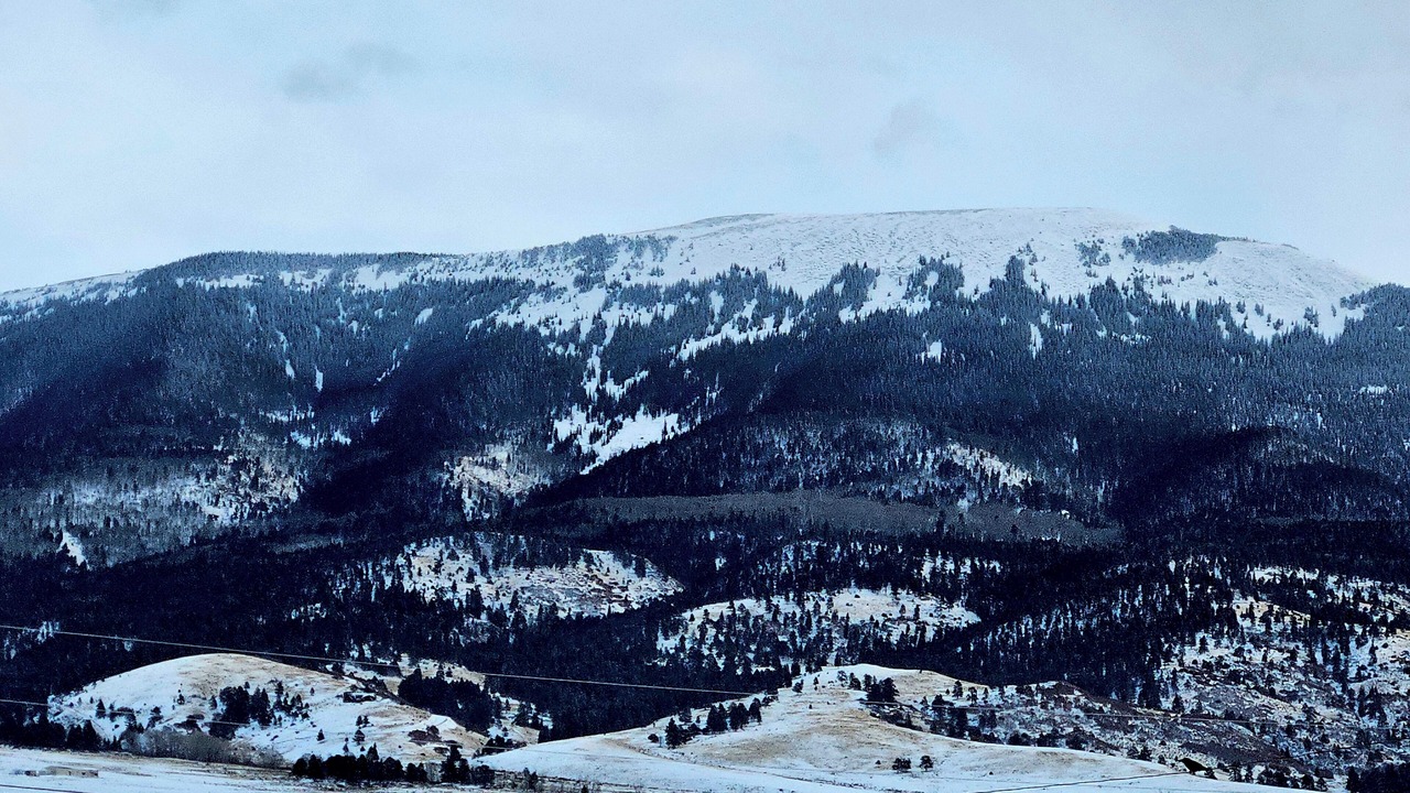 Photo of Others in Eagle Nest