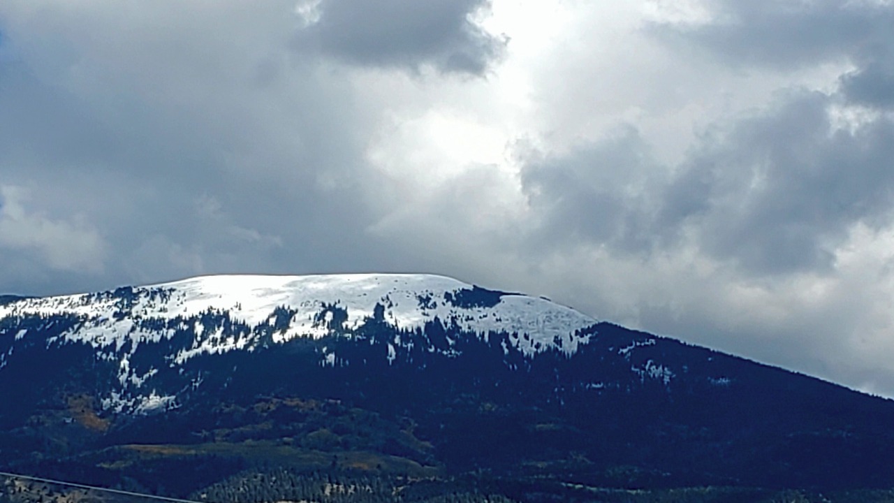Photo of Others in Eagle Nest