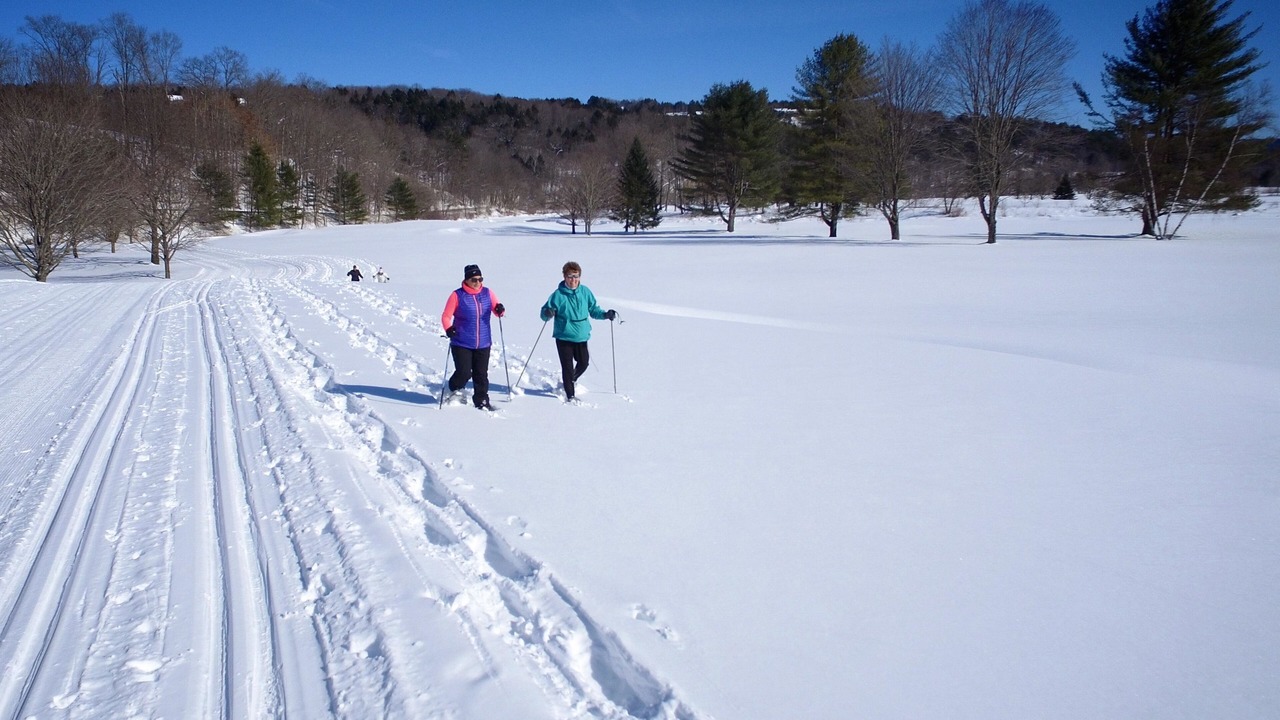 Photo of Others in West Hartford