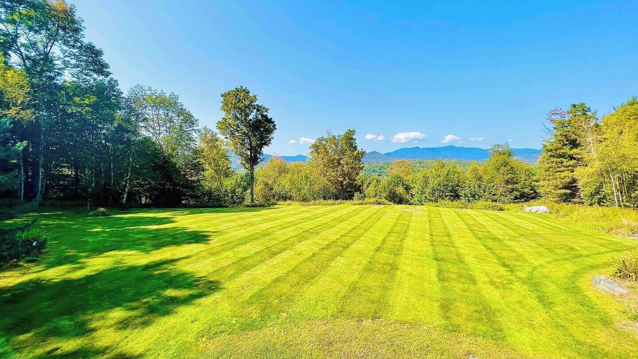 Photo of Others in Stowe Hollow