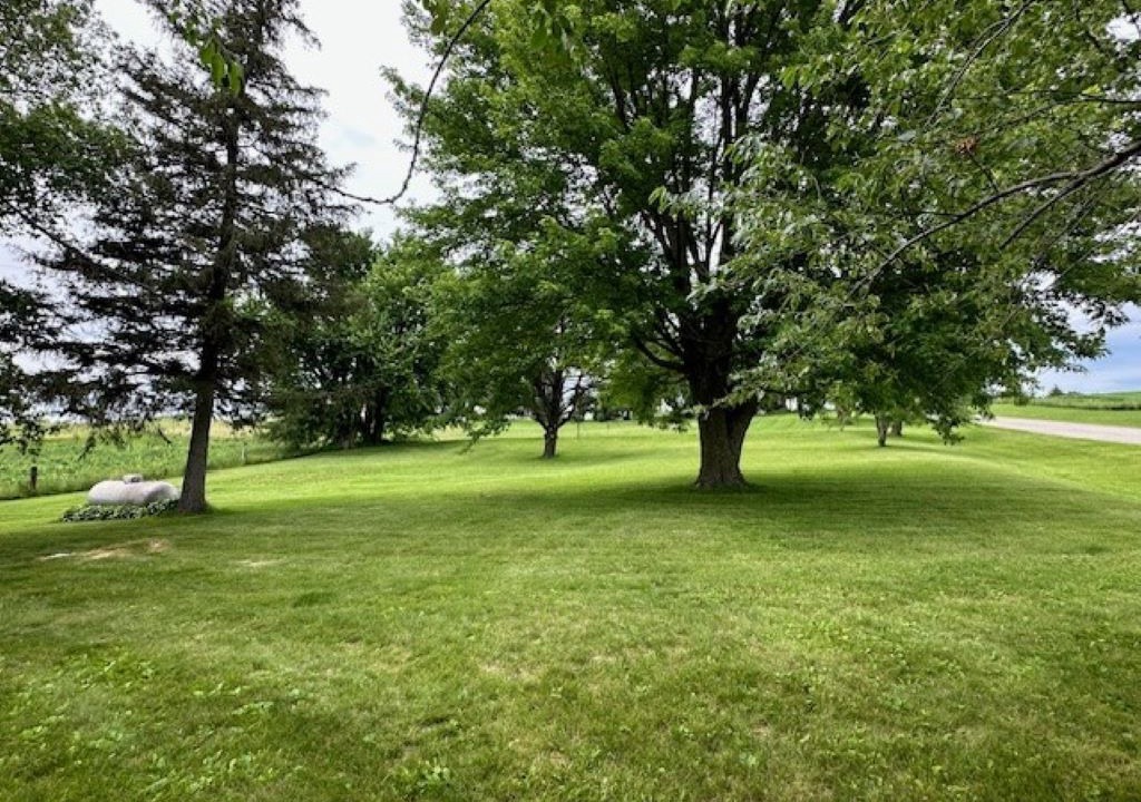 Photo of Others in Spring Valley