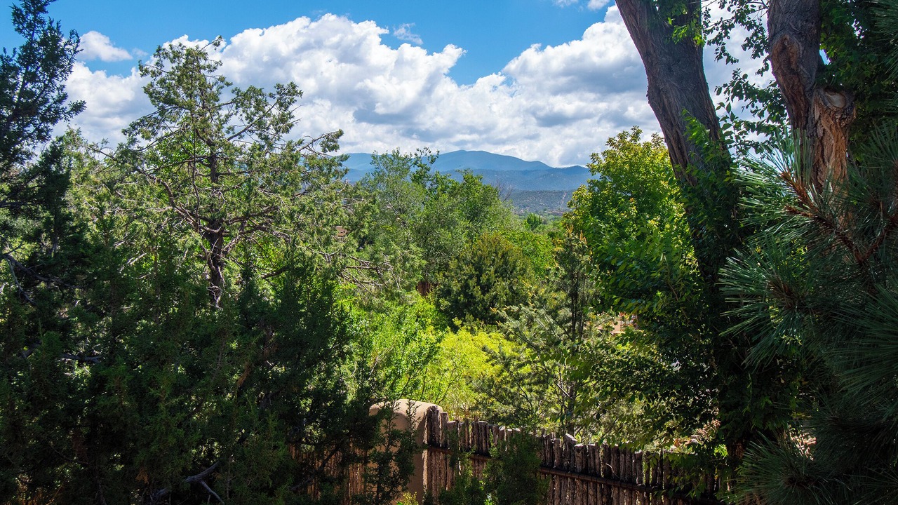 Photo of Outdoor in Historic Eastside