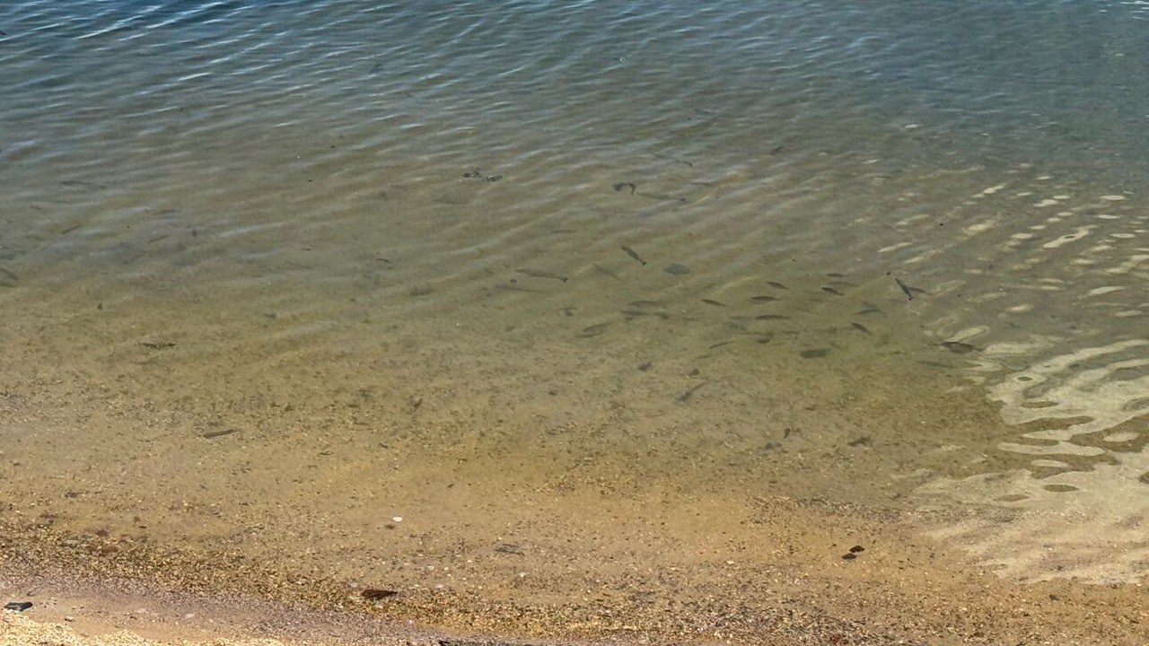 Photo of Others in Maple Lake