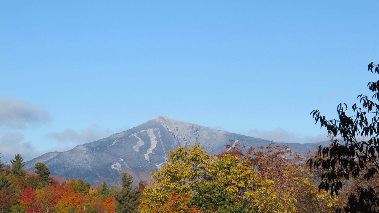 Photo of Outdoor in Upper Jay