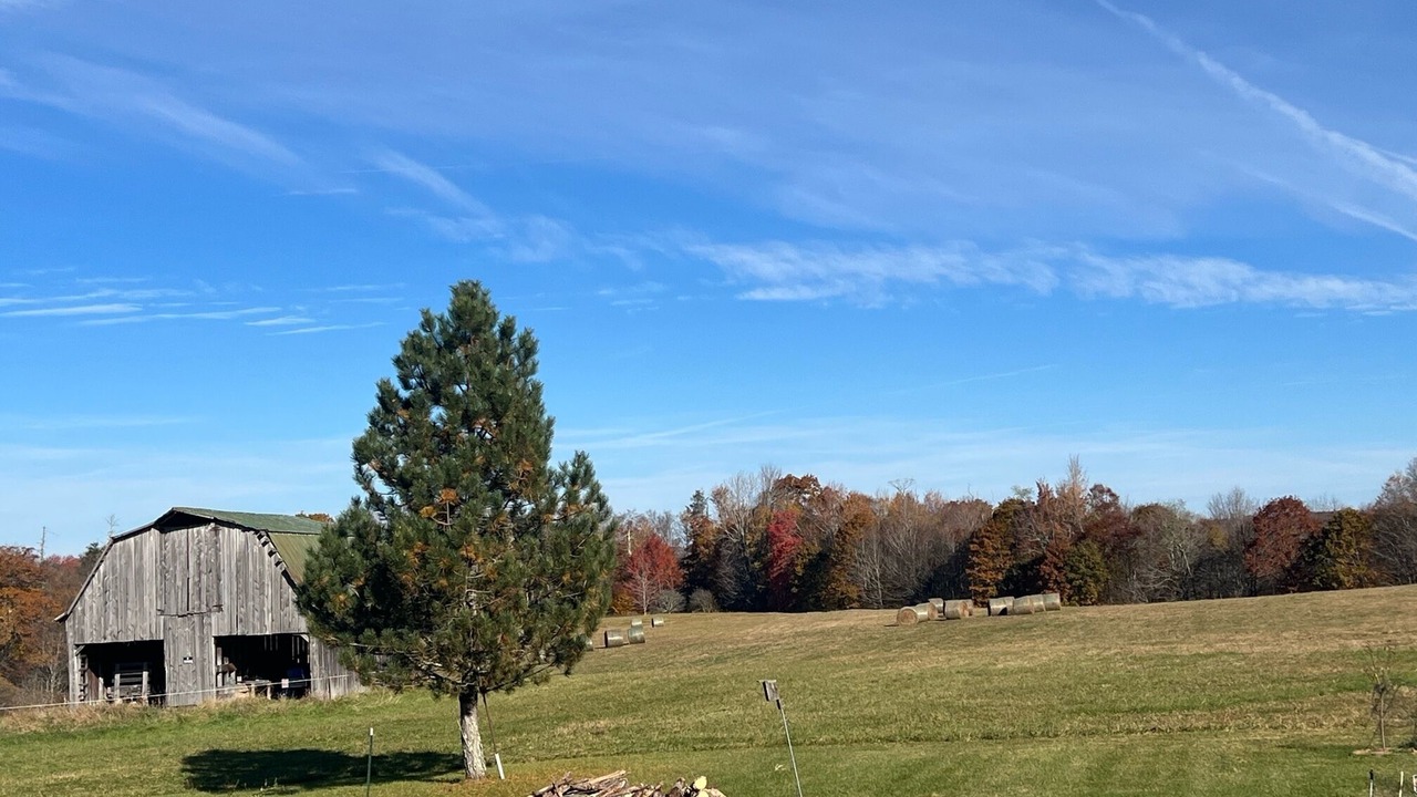 Photo of Outdoor in Mingo