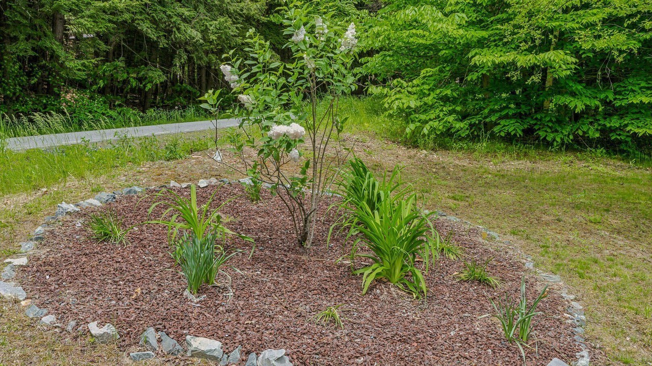 Photo of Outdoor in Quechee