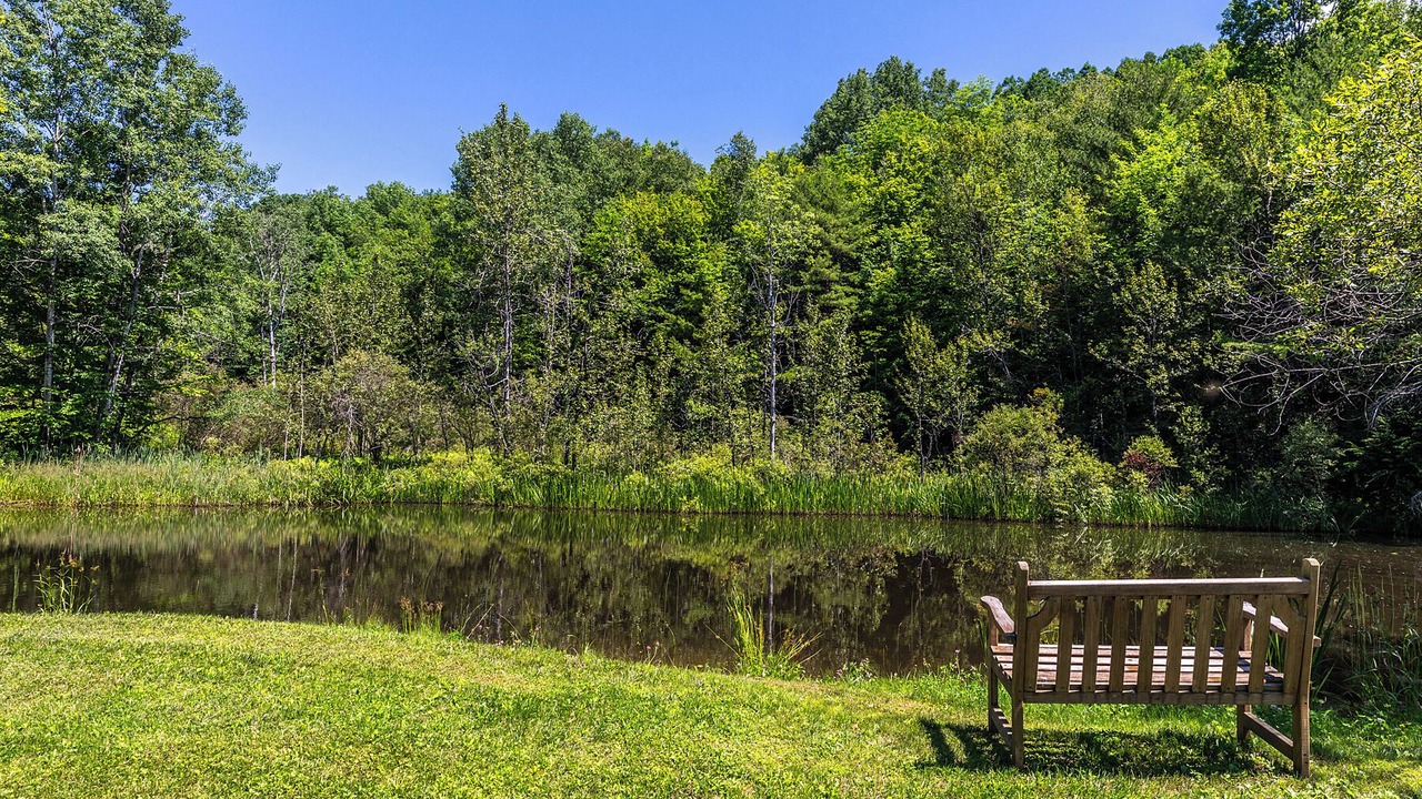 Photo of Outdoor in West Hartford