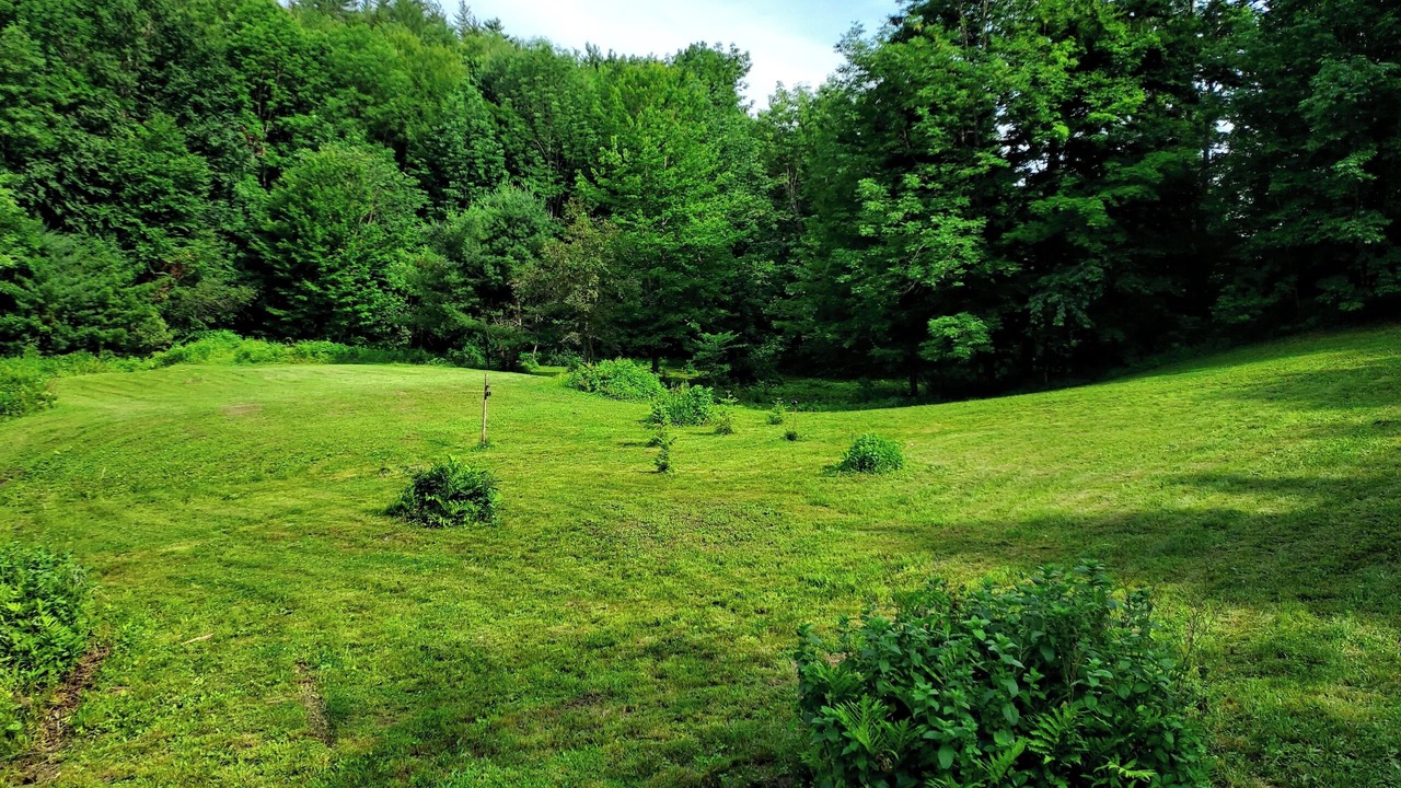 Photo of Outdoor in Waterbury