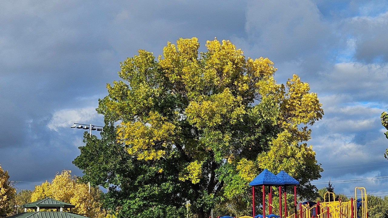 Photo of Others in St. Louis Park