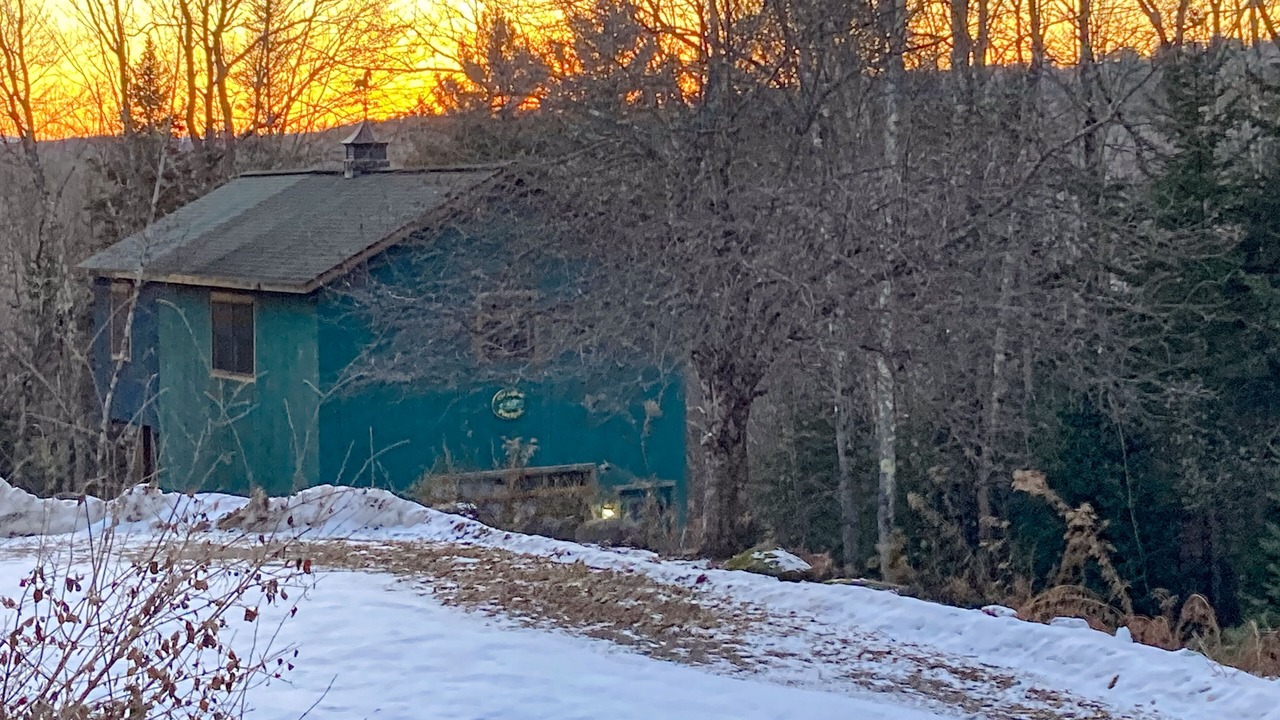 Photo of Outdoor in Weston