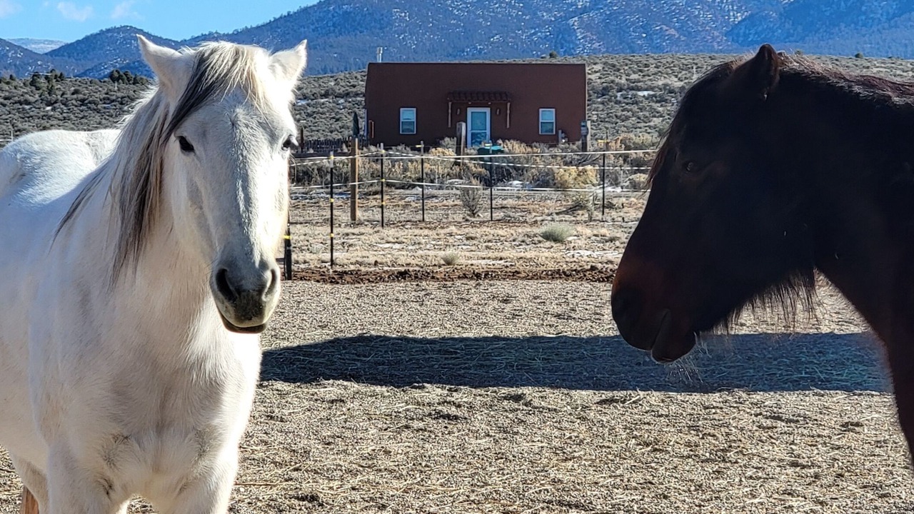 Photo of Others in Ranchos De Taos