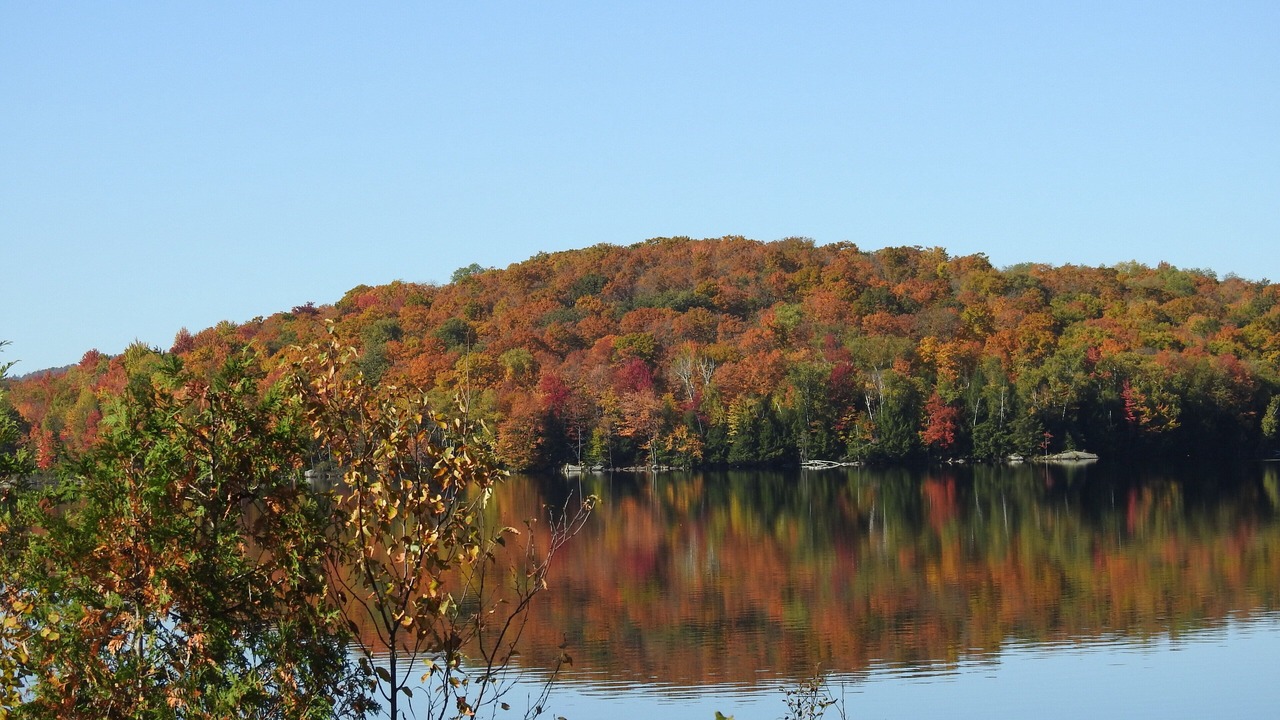 Photo of Others in Rainbow Lake