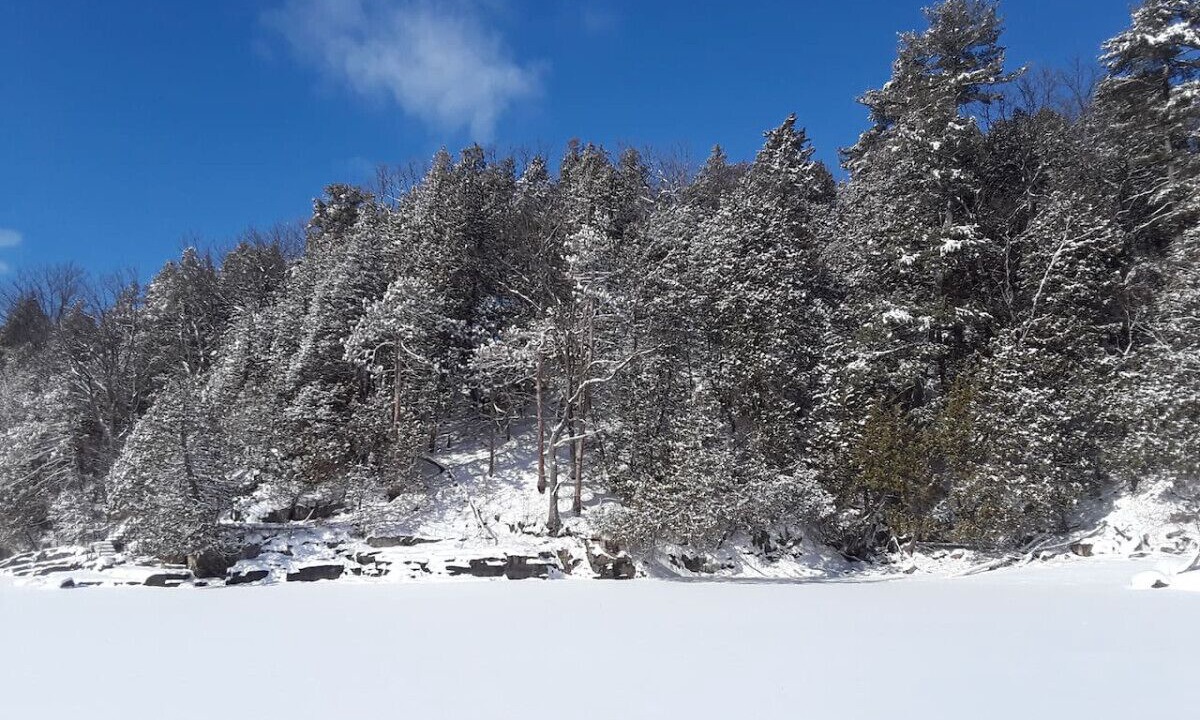Photo of Outdoor in Colchester