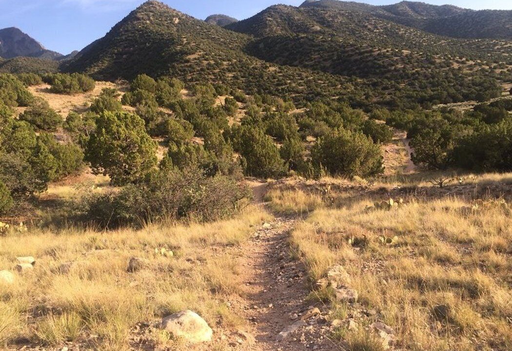 Photo of Others in Placitas
