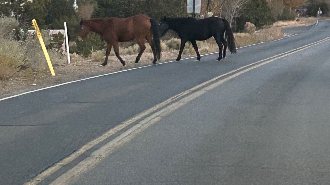 Photo of Others in Placitas