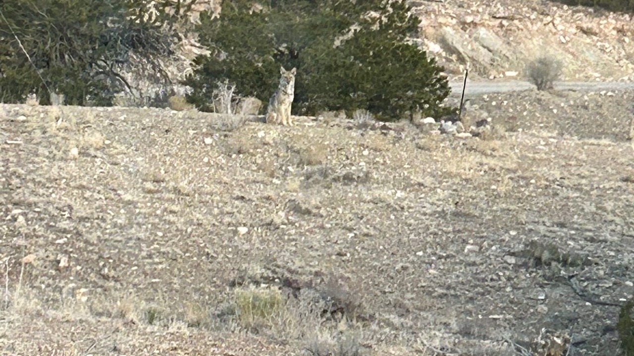 Photo of Outdoor in Placitas