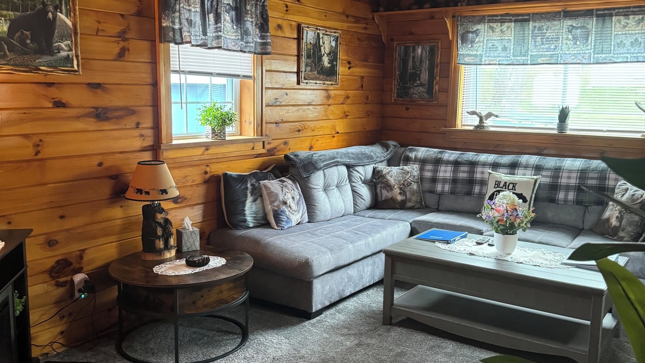 Photo of Livingroom in Long Lake