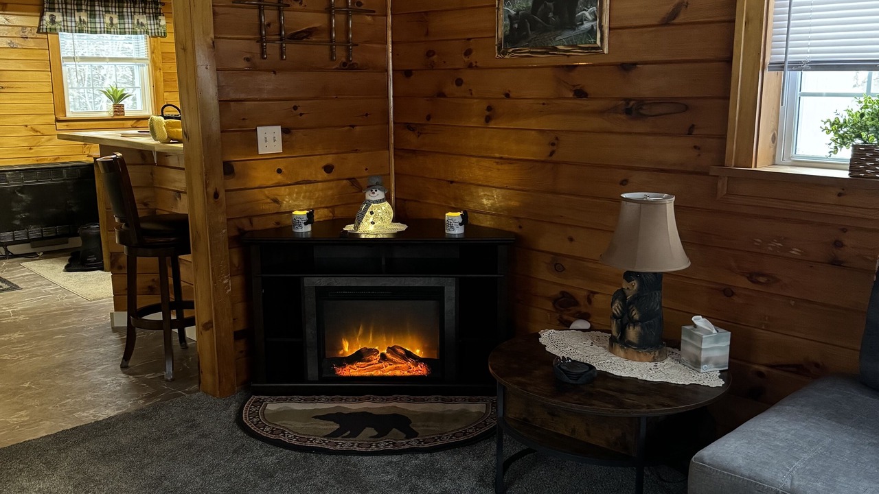 Photo of Livingroom in Long Lake