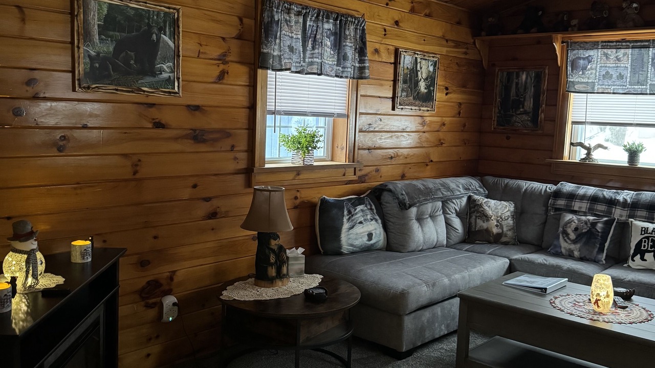 Photo of Livingroom in Long Lake