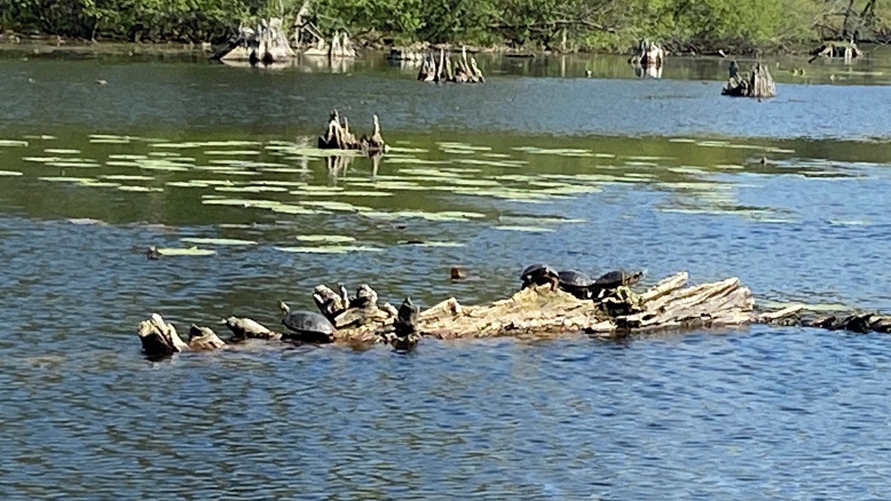 Photo of Others in Amery
