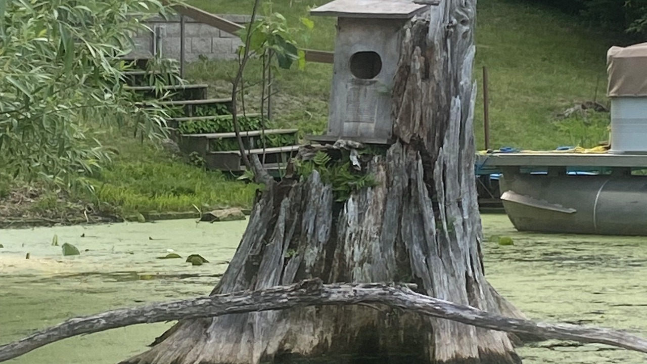 Photo of Outdoor in Amery