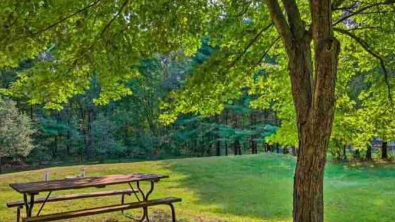 Photo of Outdoor in Merrillan