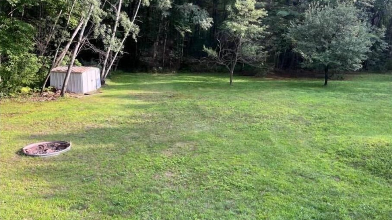 Photo of Outdoor in Merrillan