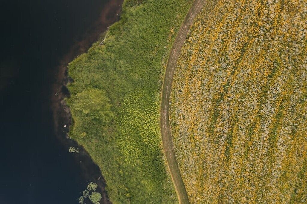 Photo of Outdoor in Clam Falls
