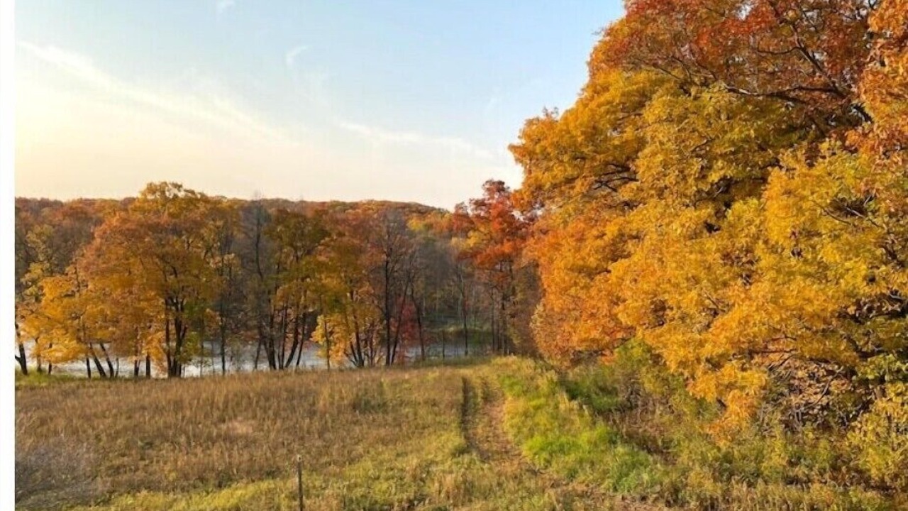 Photo of Outdoor in Clam Falls