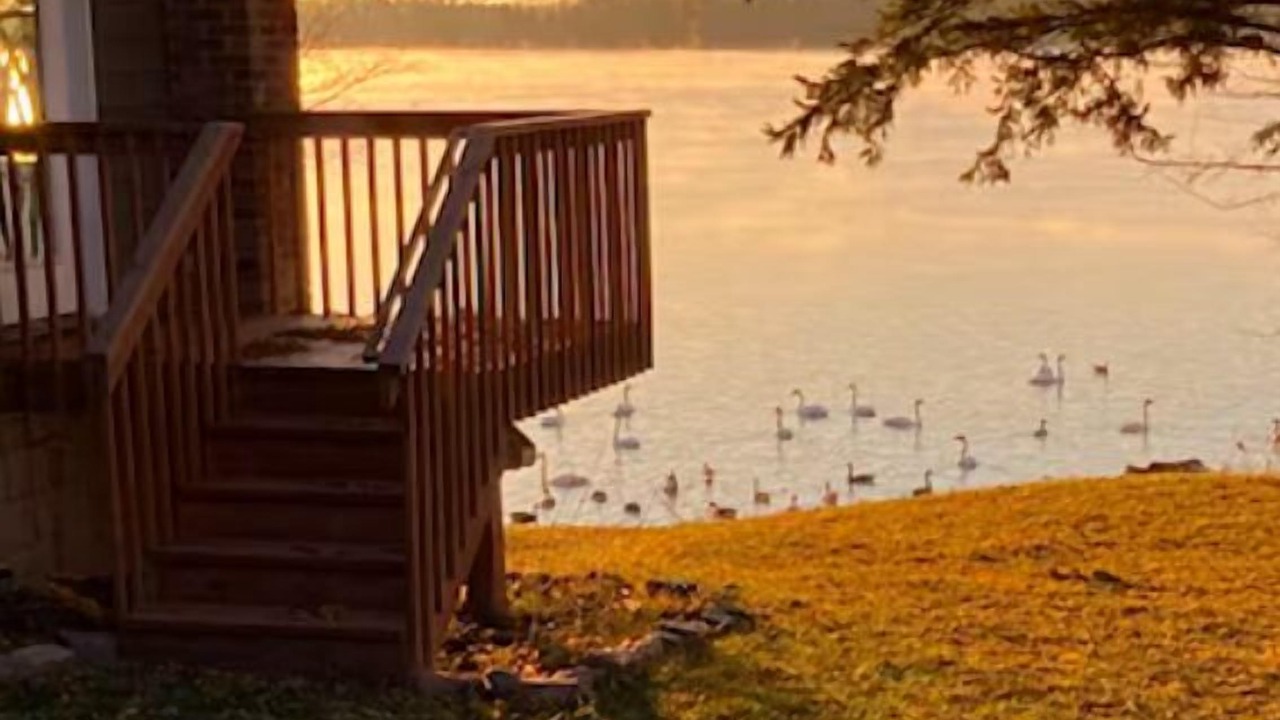 Photo of Outdoor in Maple Lake