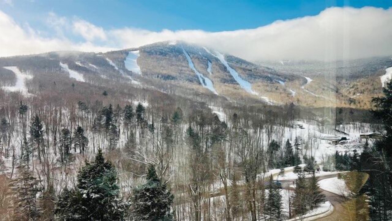 Photo of Others in Stowe Area