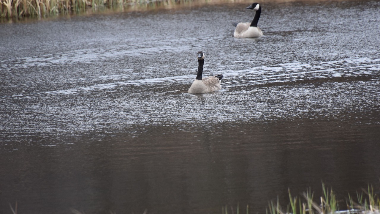 Photo of Others in Weyerhaeuser