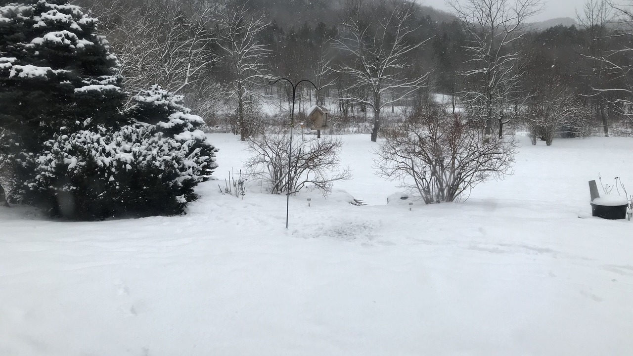 Photo of Outdoor in Montgomery Center