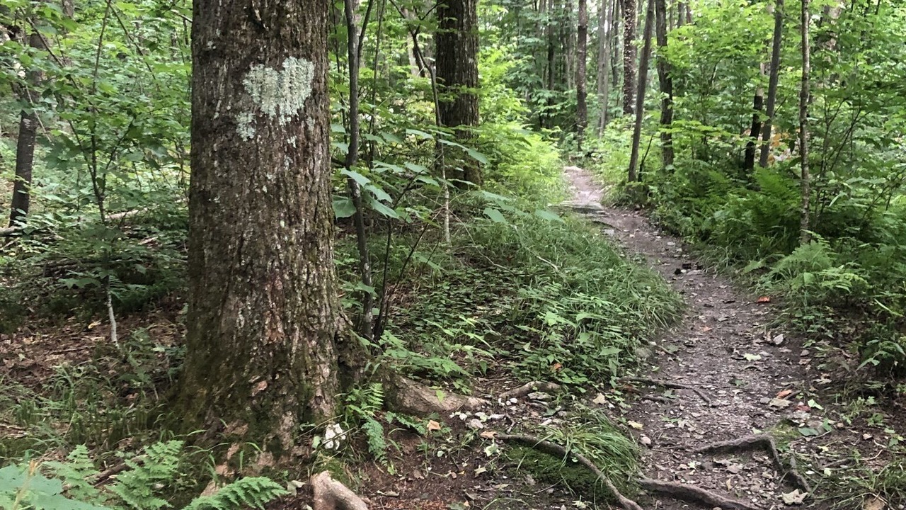 Photo of Others in Killington