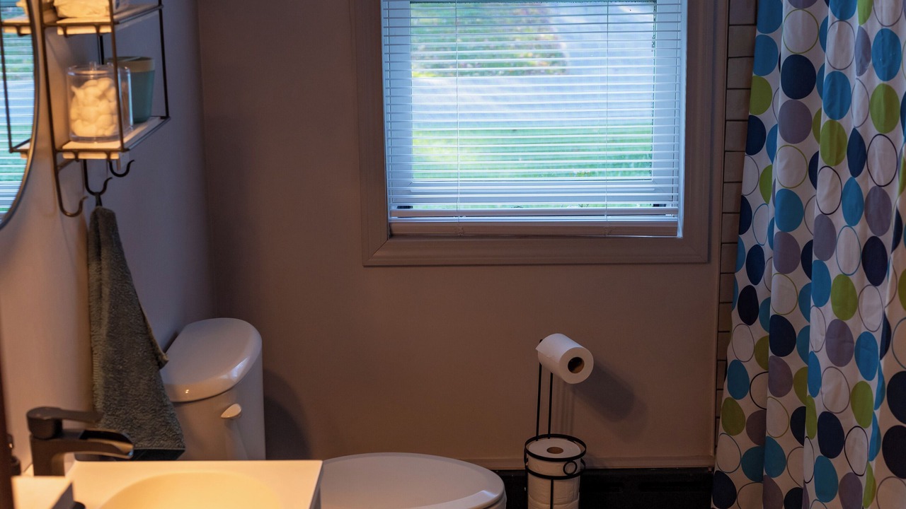 Photo of Bathroom in South Burlington