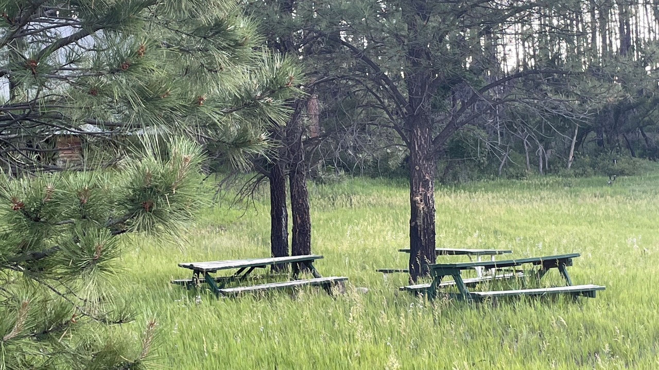 Photo of Outdoor in El Porvenir