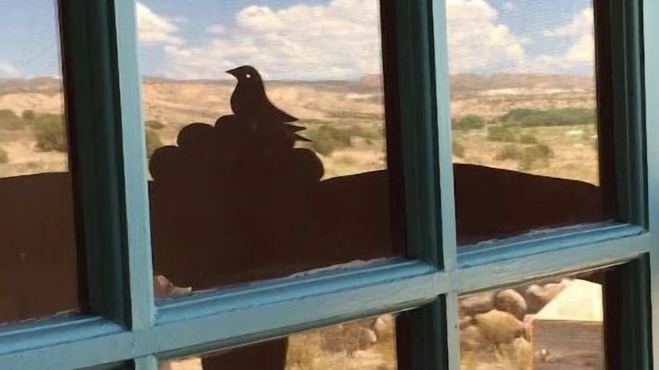 Photo of Others in El Rito