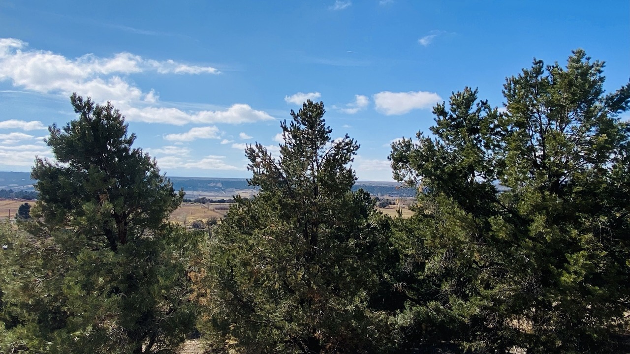Photo of Others in Arroyo Hondo