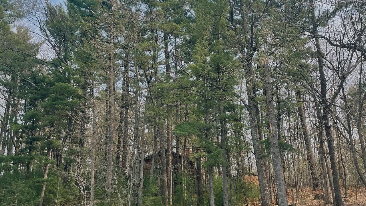 Photo of Outdoor in King