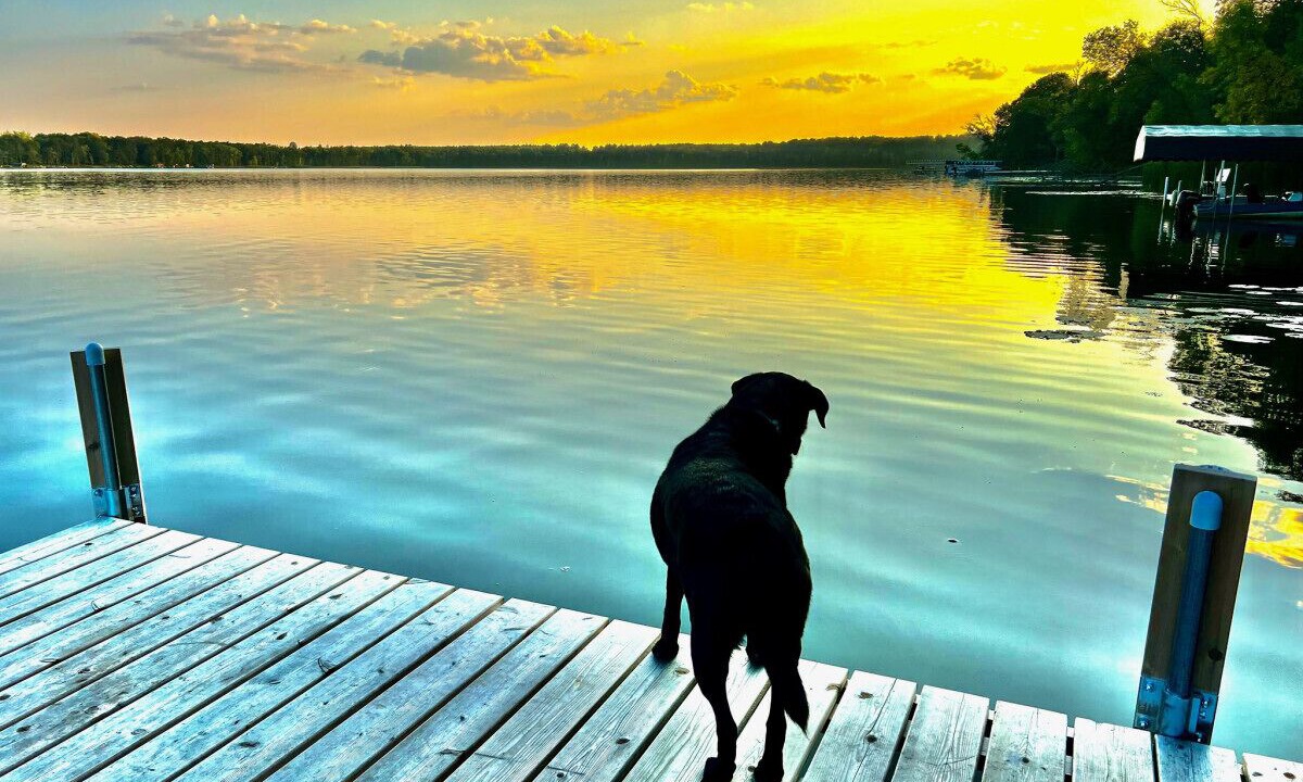 Photo of Others in Crosslake