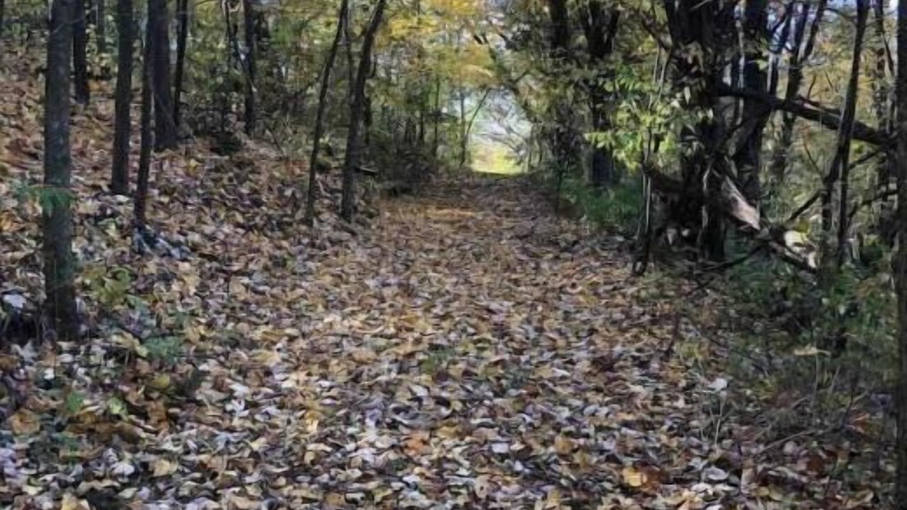 Photo of Outdoor in Hixton