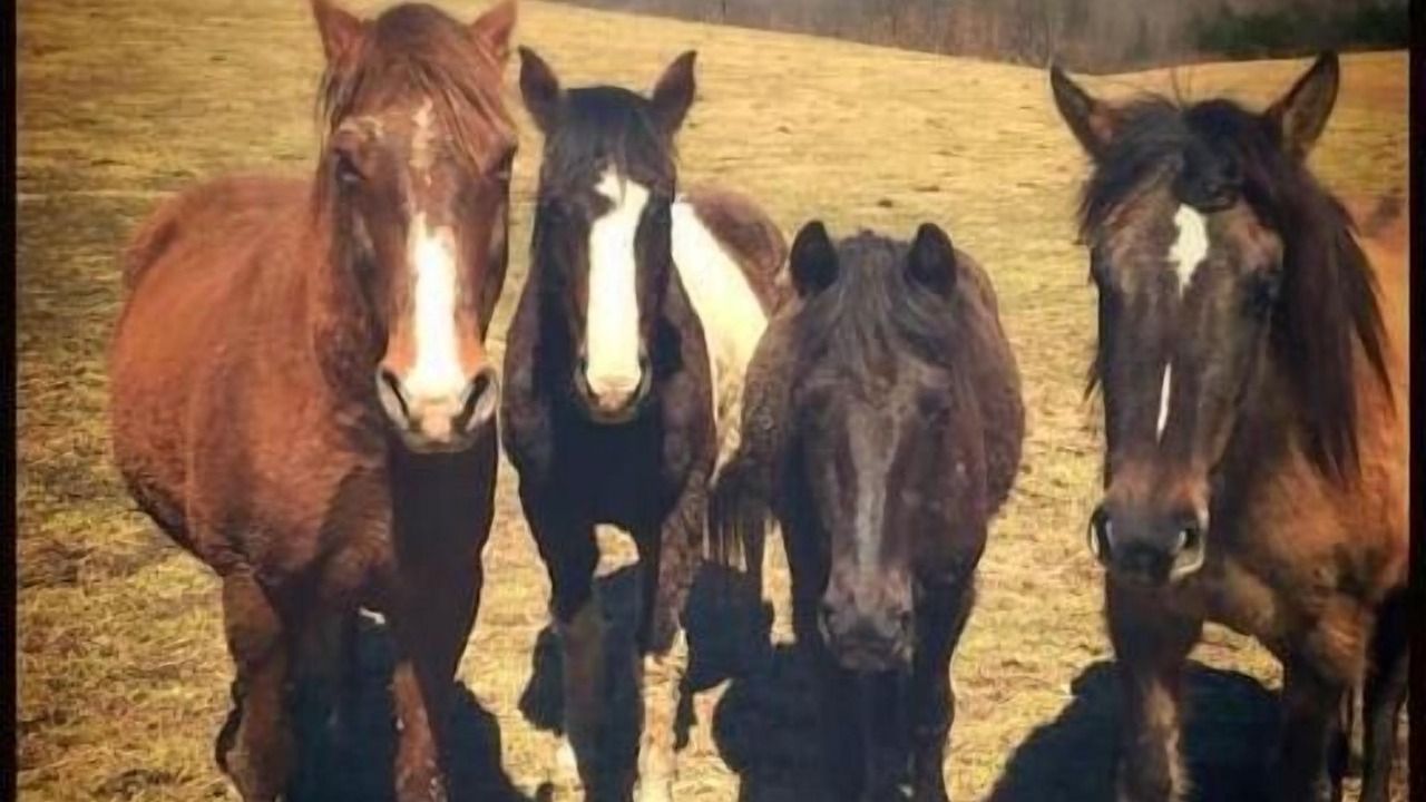 Photo of Others in Hixton